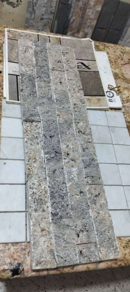 سيلفر — الصورة 1 من 1